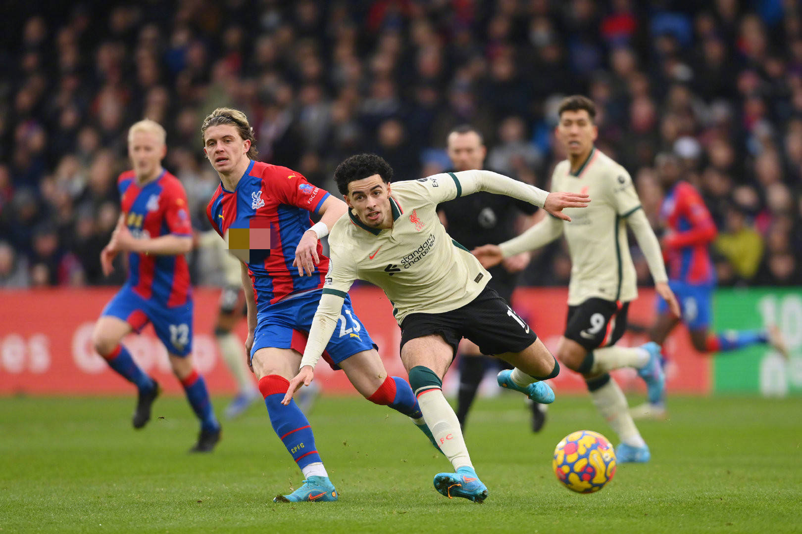 态和俱乐部 态和俱乐部